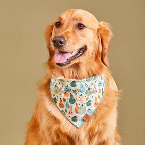 Bandana Dog Looking Gourd (halloween)