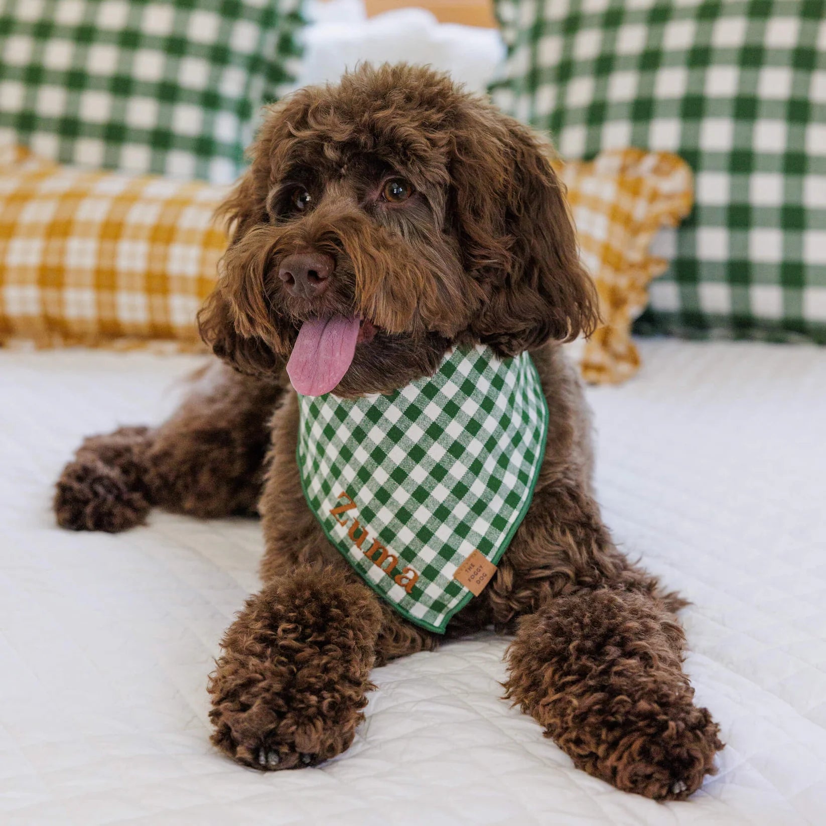 Bandana Dog Heather Taylor Home x TFD Mini Gingham Hunter Green