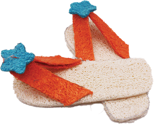 A & E Cage Company - Nibbles Small Animal Loofah Chew Toy, Flip Flops