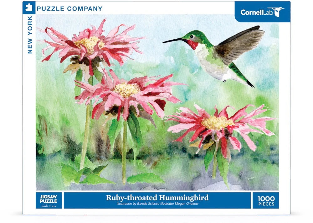 New York Puzzle Co. - Ruby-throated Hummingbird