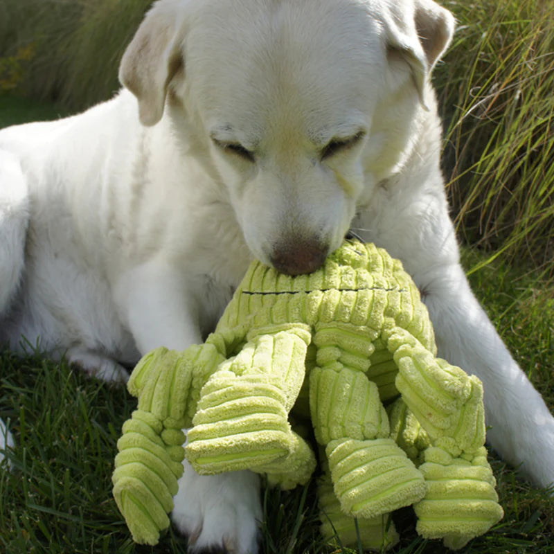 Octo-Knotties - Knots On Each Leg / 9 Squeakers / Corduroy Lime