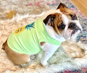 Pineapple Dog T-Shirt