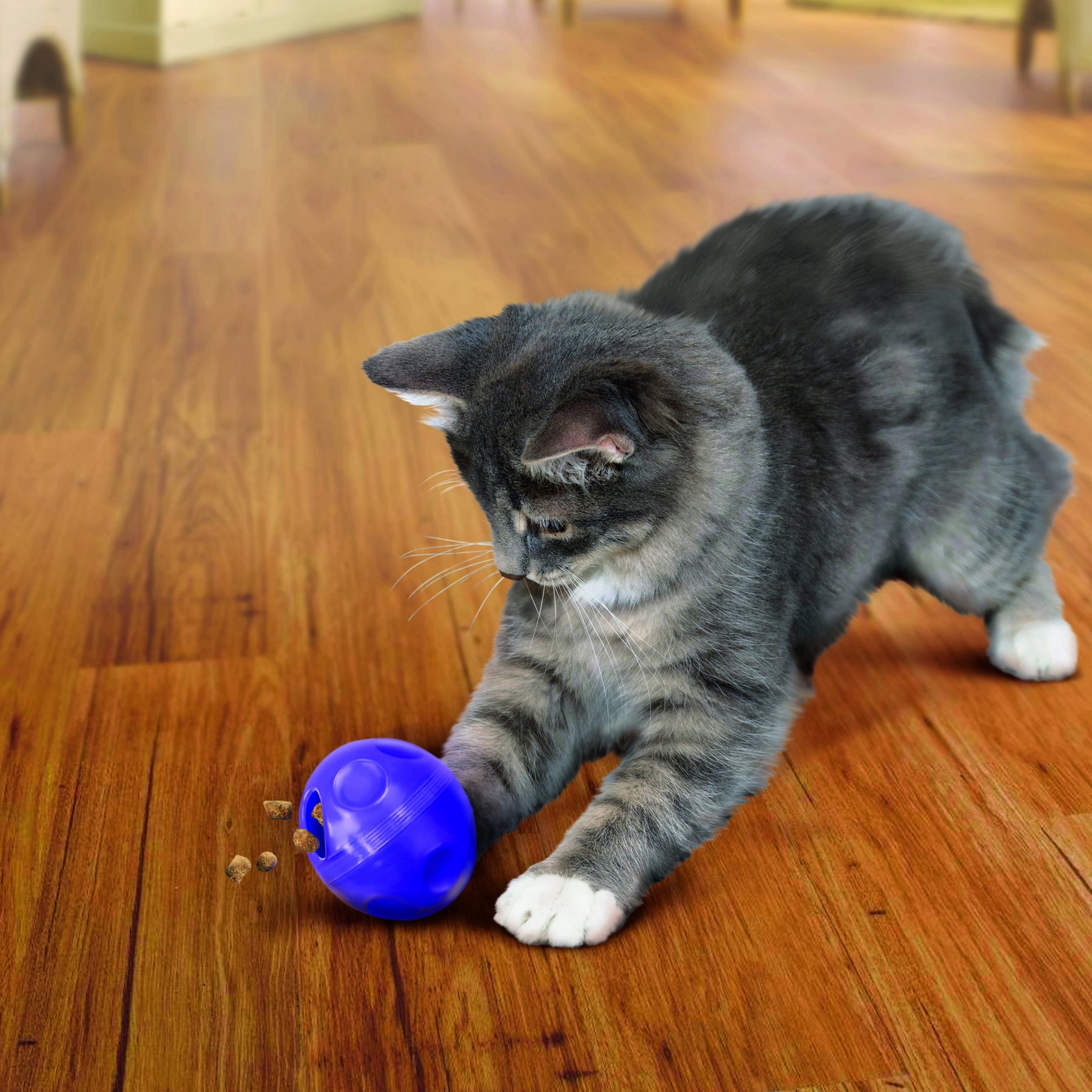 KONG - CAT TREAT DISPENSING BALL