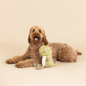 Petshop by Fringe Studio - Small Arms, Big Heart Dinosaur Dog Toy