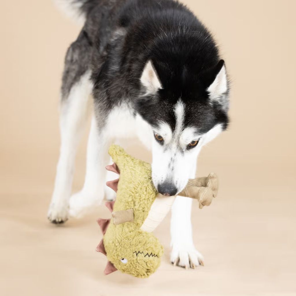 Petshop by Fringe Studio - Small Arms, Big Heart Dinosaur Dog Toy