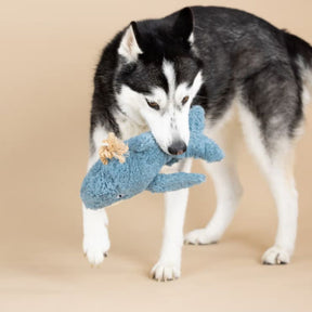 Petshop by Fringe Studio - Oh Whale Dog Toy