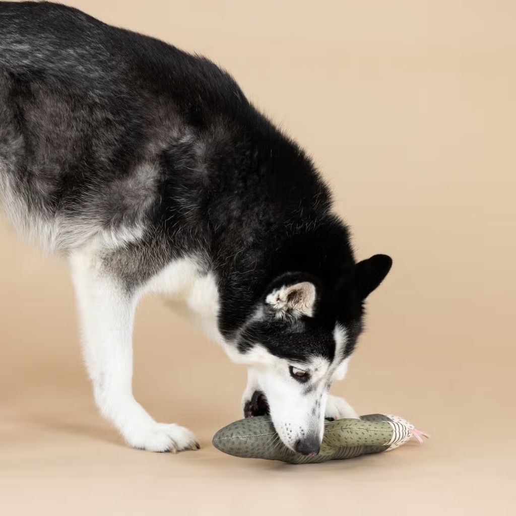 Petshop by Fringe Studio - I Can Be a Bit Prickly Dog Toy