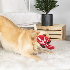 Petshop by Fringe Studio - Dog Toy Sweet But Twisted Candy Cane