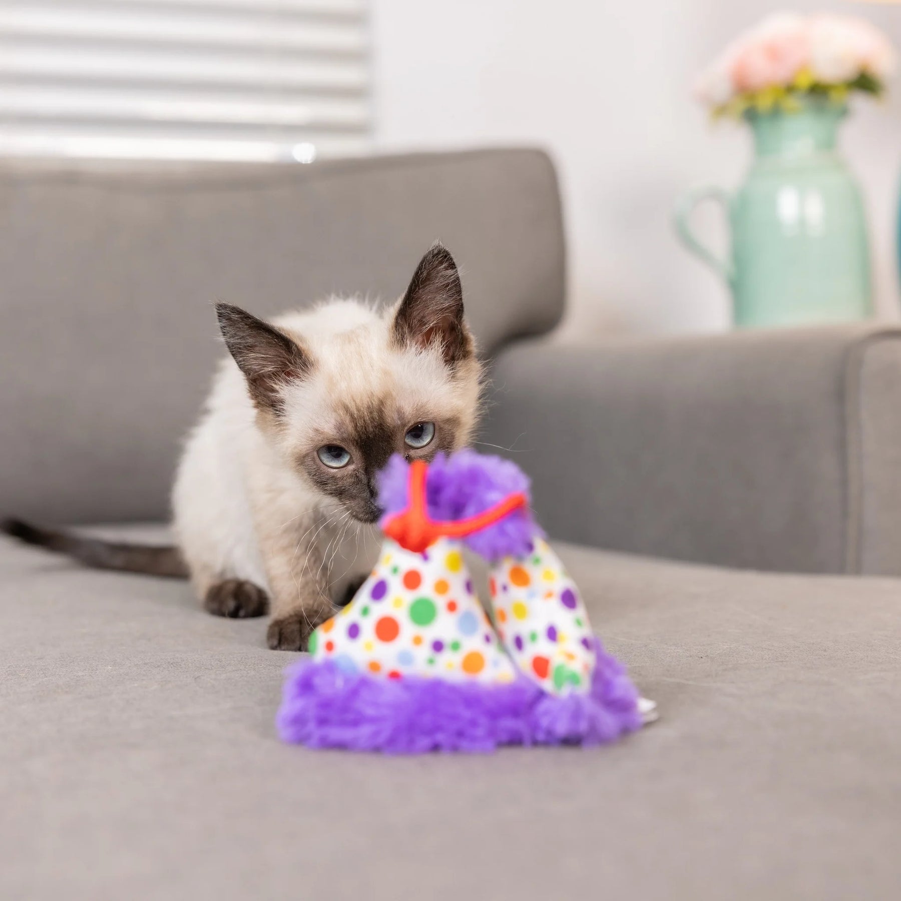 Huxley & Kent - Party Hats for Cats