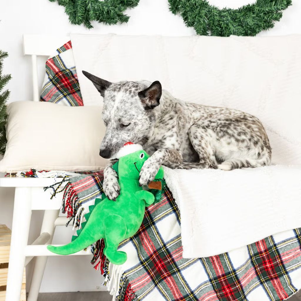 Petshop by Fringe Studio - Dog Toy Hungry for the Holiday Plush T-Rex