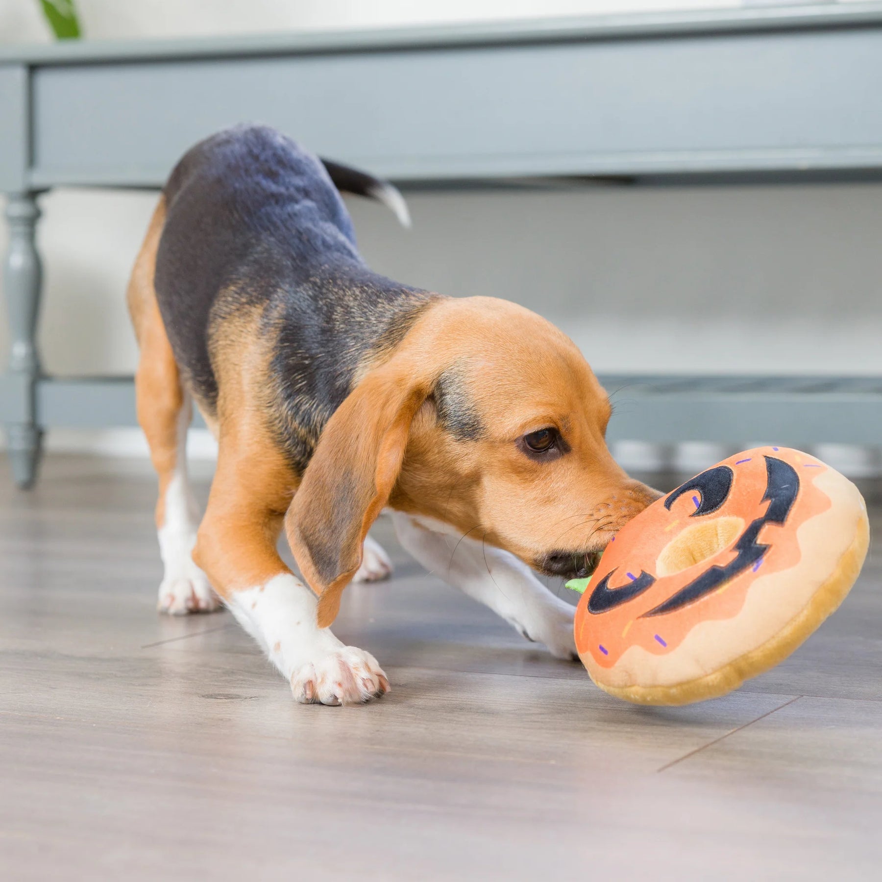 Huxley & Kent - Pumpkin Donut for Dogs