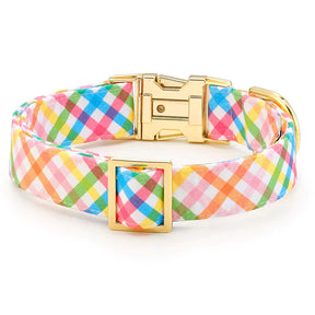 Dog Collar Rainbow Gingham