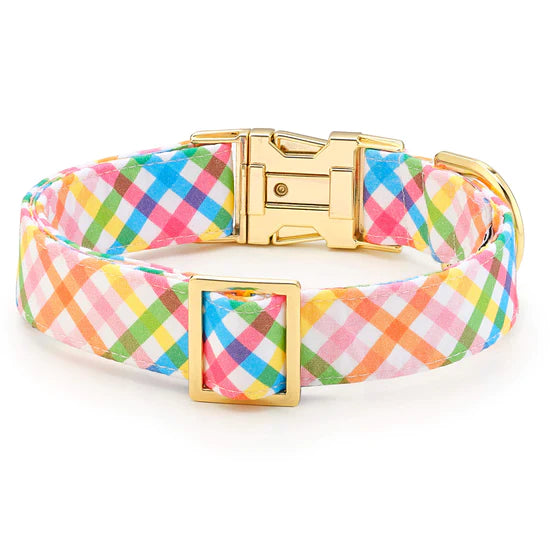 Dog Collar Rainbow Gingham