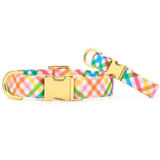 Dog Collar Rainbow Gingham