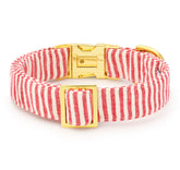 Dog Collar Red Stripe