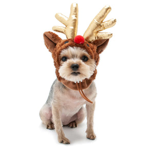 Dogo Pet - Rudolph Hat Costume