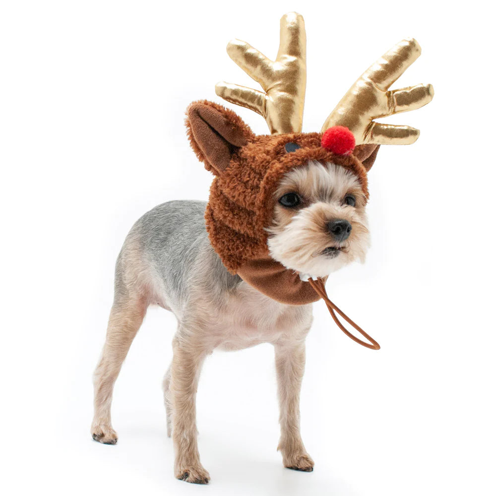 Dogo Pet - Rudolph Hat Costume