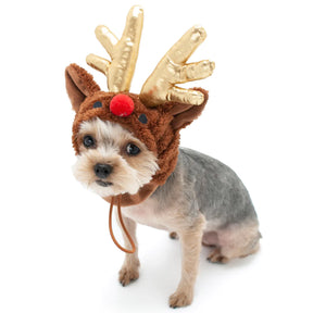 Dogo Pet - Rudolph Hat Costume