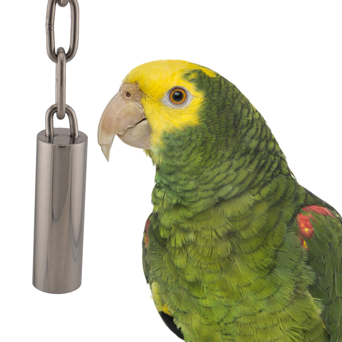 Tube Bell Stainless Steel Bird Toy