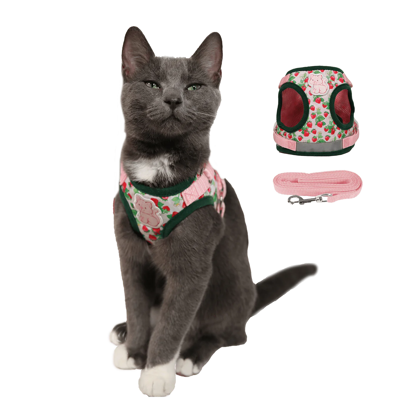 Harness & Leash Set - "Strawberry Shortcake"