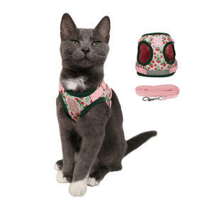 Harness & Leash Set - "Strawberry Shortcake"