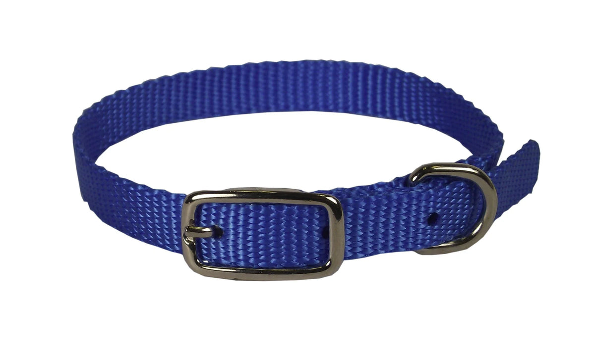 Collar Nylon Blue