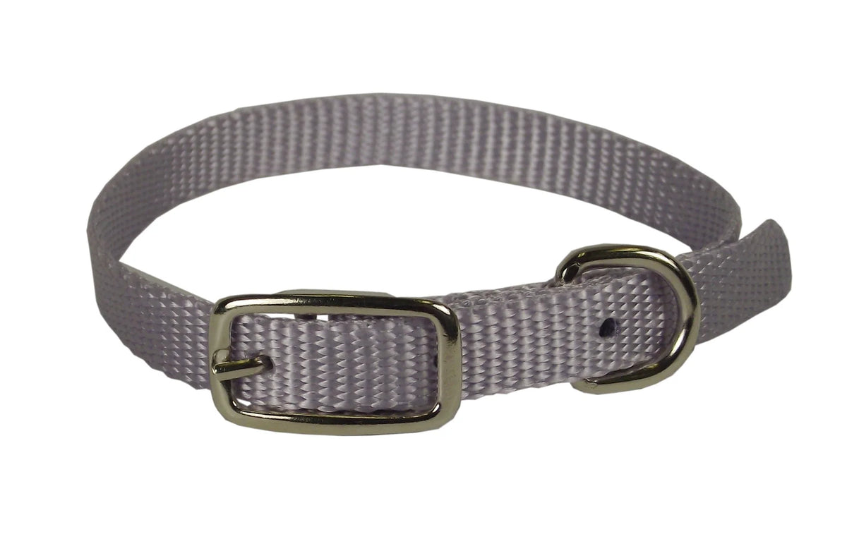 Collar Nylon Lavender