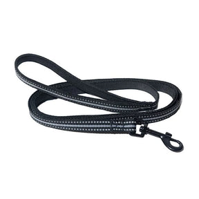 Cat Harness & Leash Set - Stray x Travel Edition