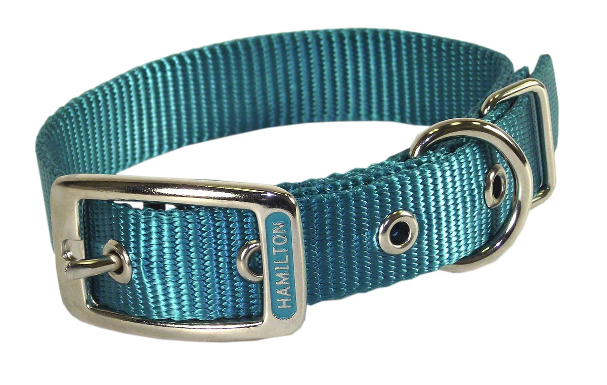 Collar Nylon Teal