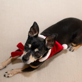 Huxley & Kent - Bandana St. Nick Santa Hat w/ Ball