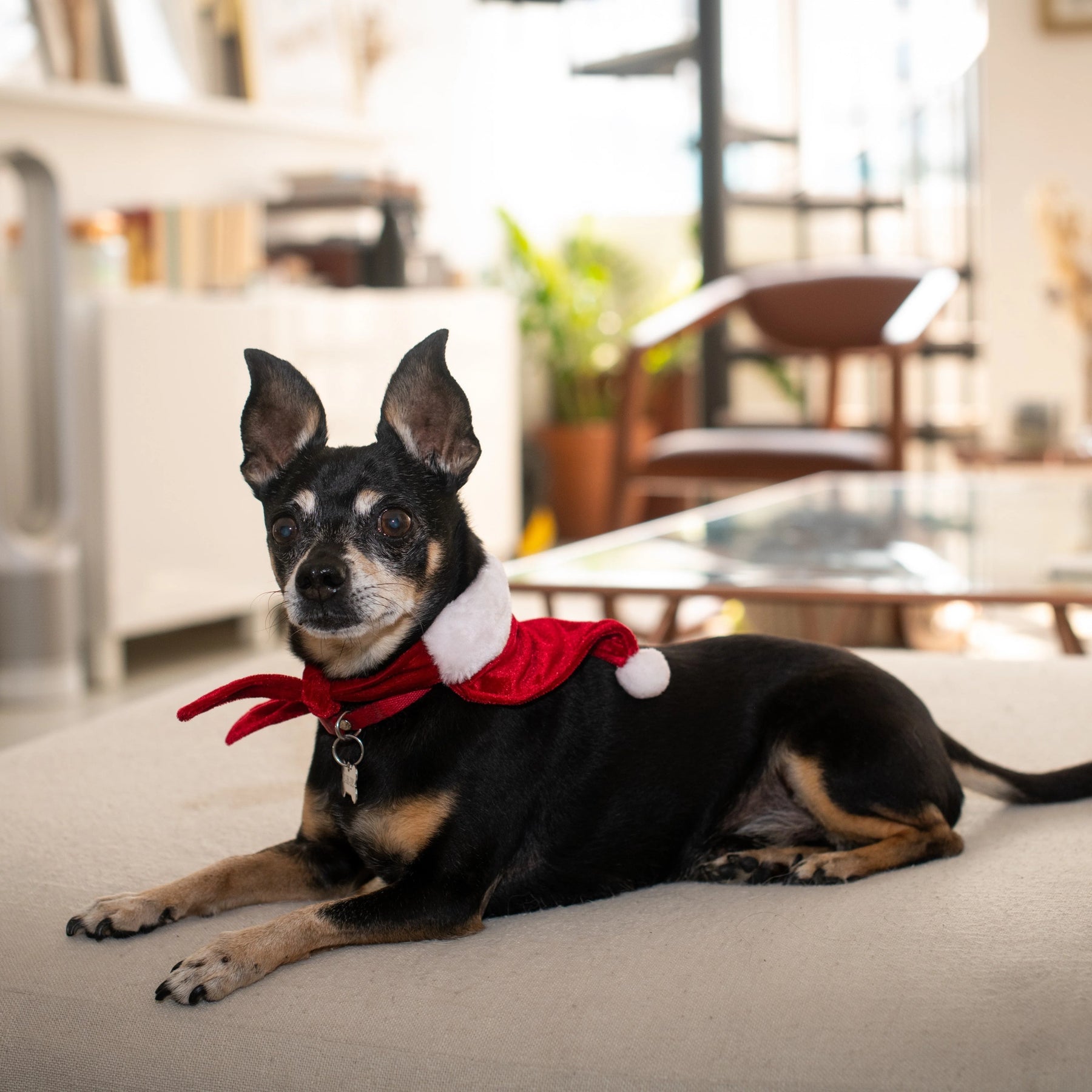 Huxley & Kent - Bandana St. Nick Santa Hat w/ Ball