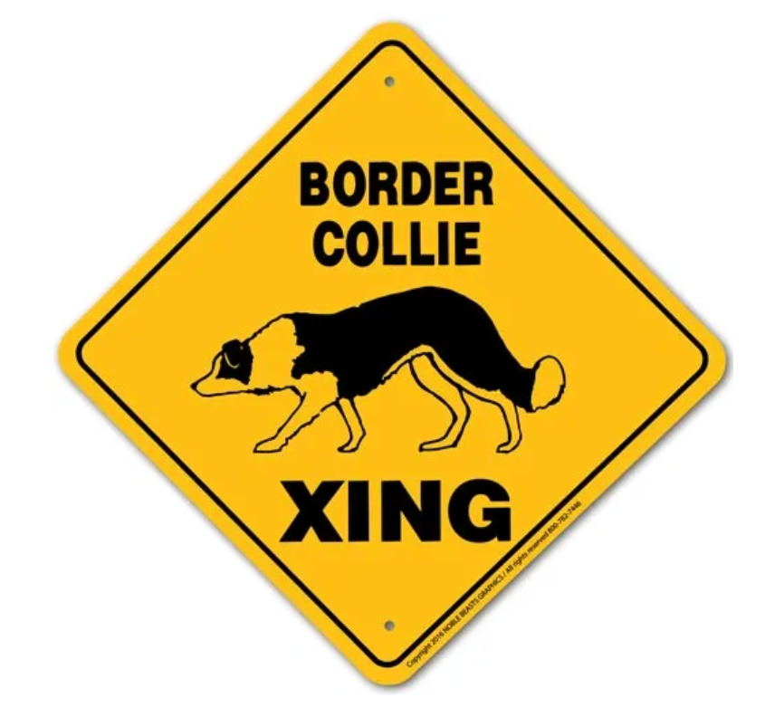 Border Collie X-ing Sign