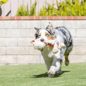 Huxley & Kent - Shama Llama for Dogs