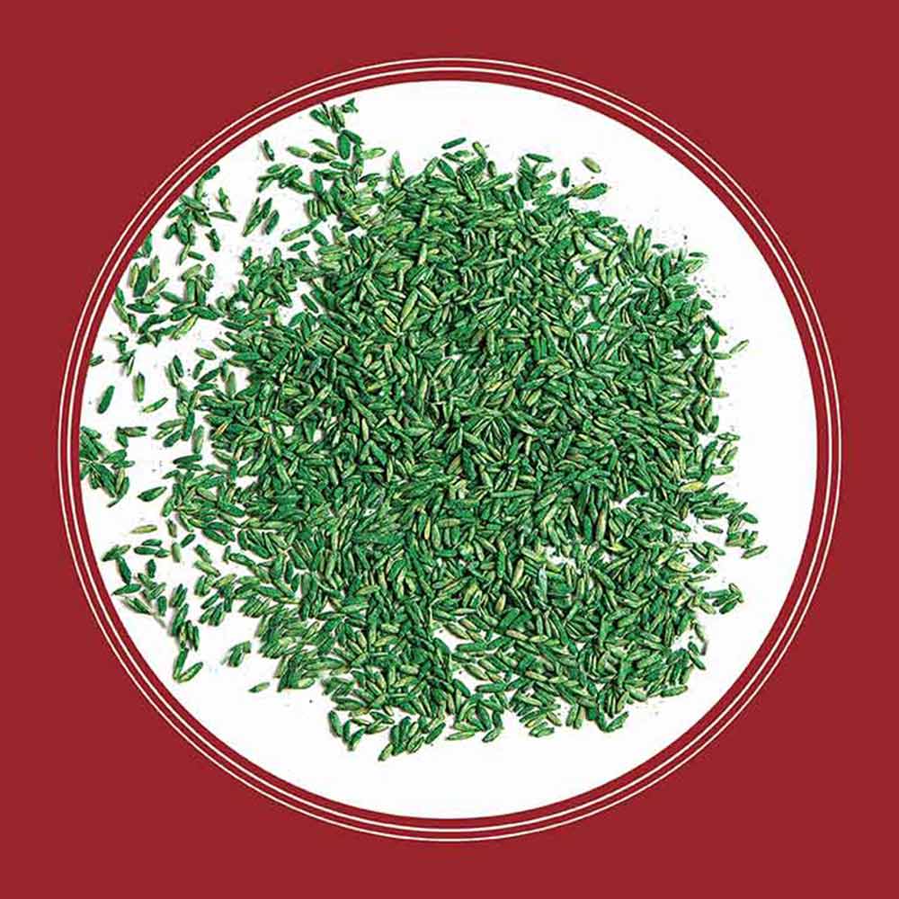 Pennington - Grass Seed Perennial Ryegrass Smart Seed