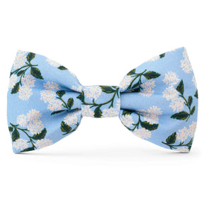 Dog Bow Tie Rifle Paper Co. X TFD Hydrangea