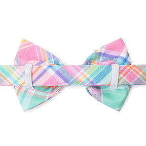 Dog Bow Tie Blooming Plaid