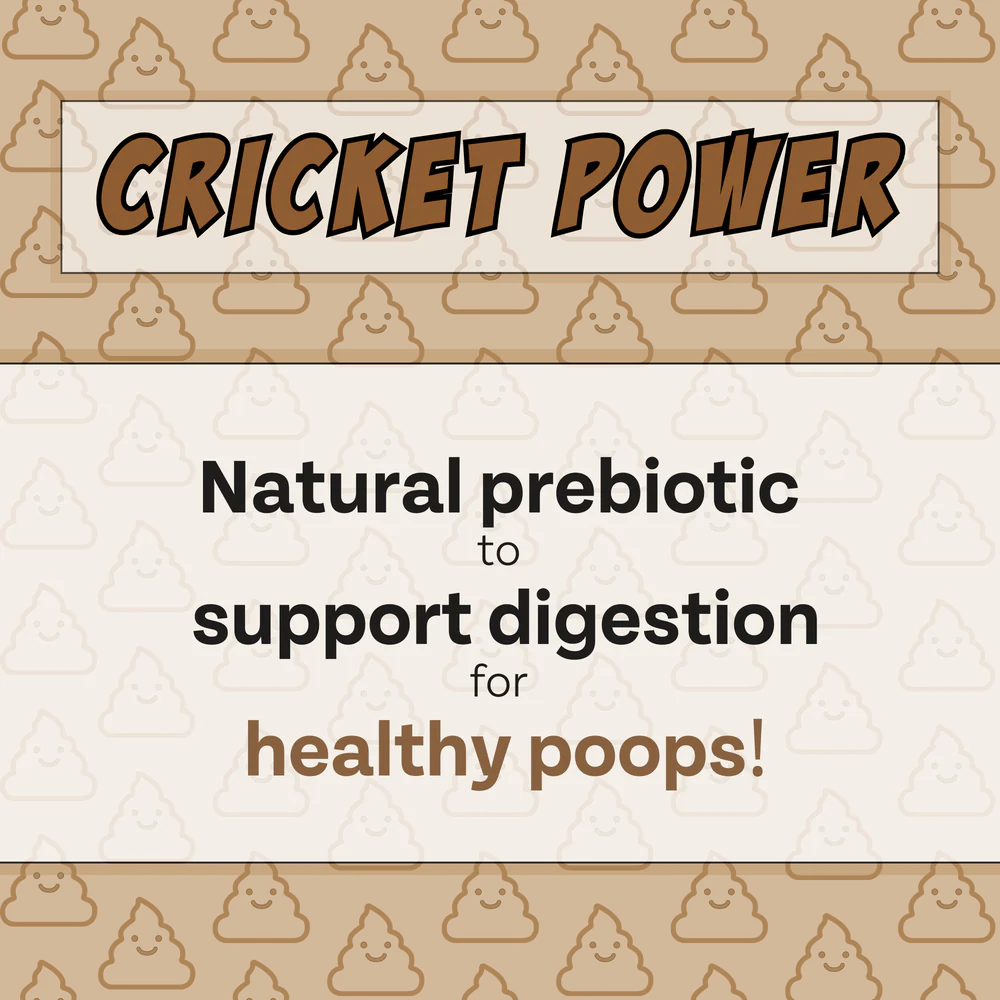 Chippin - Superfood (Peanut Butter-Cricket-Pumpkin) Dog Treat