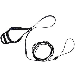 The Aviator - Bird Harness & Leash, Black