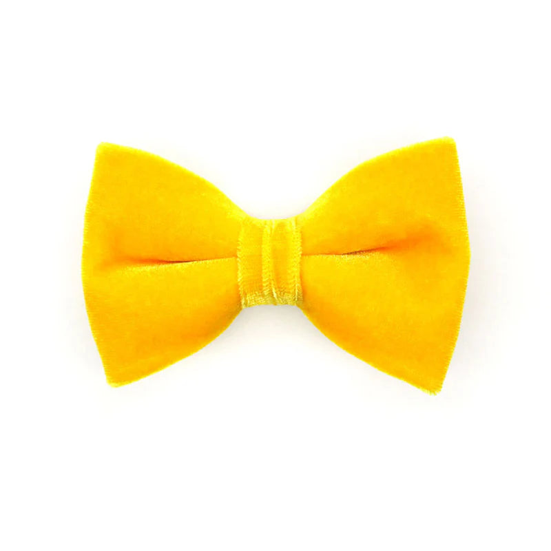 Bow Tie Velvet