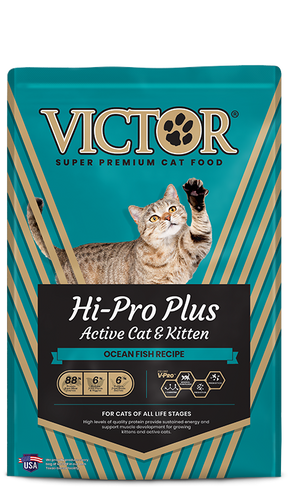 Victor - Hi-Pro Plus Active Cat&Kitten Ocean & Fish