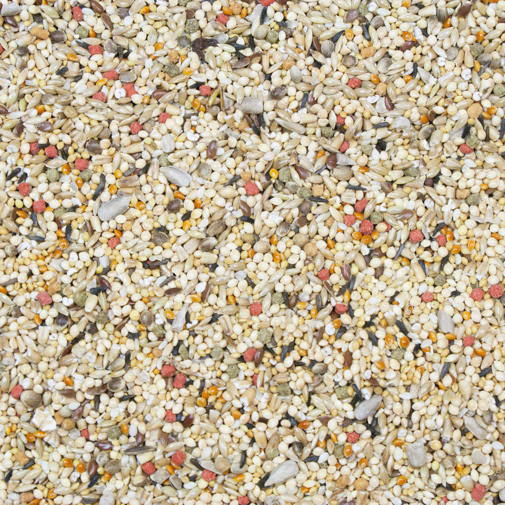 Vita Seed Finch Food