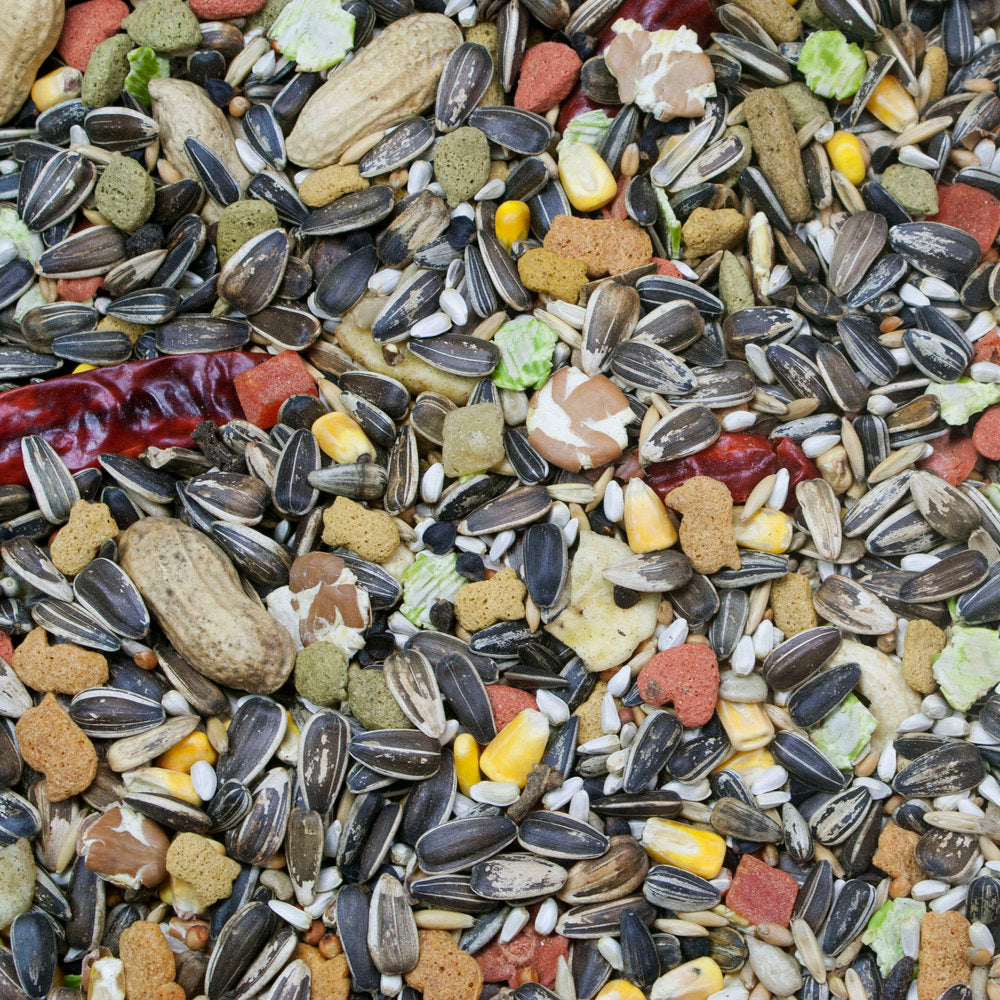 Vita Seed Parrot Food