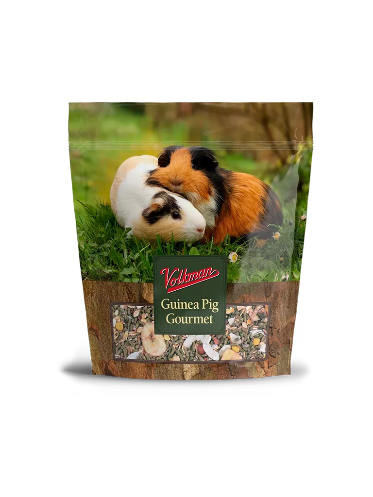 Volkman Seed Guinea Pig Gourmet