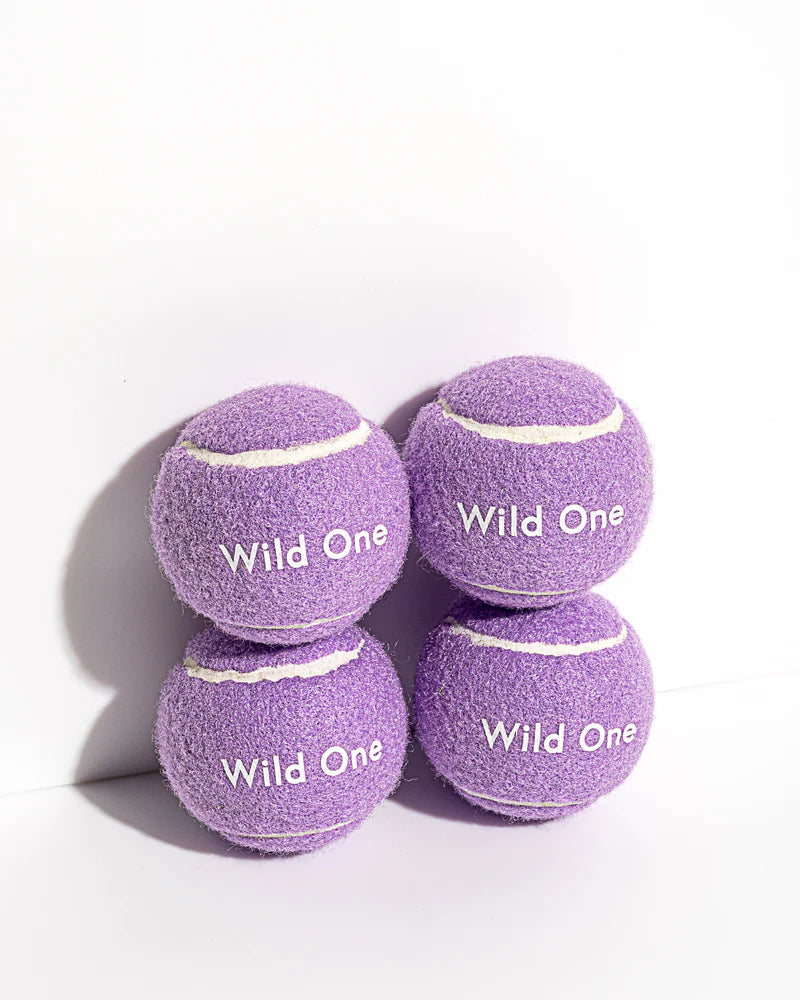 Wild One - Tennis Balls for Dogs (4 pack)