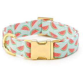 Dog Collar One In A Melon