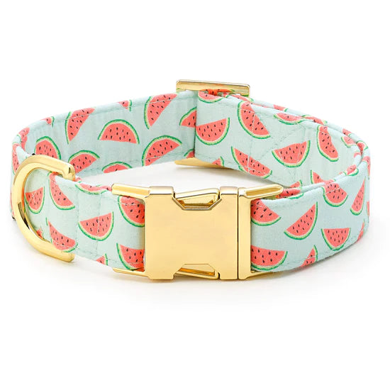 Dog Collar One In A Melon