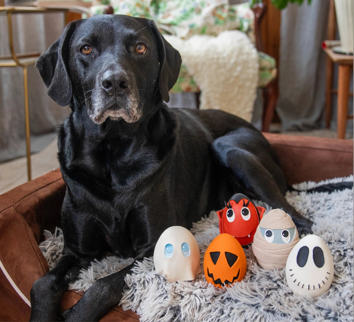 Dog Toy Halloween Eggs