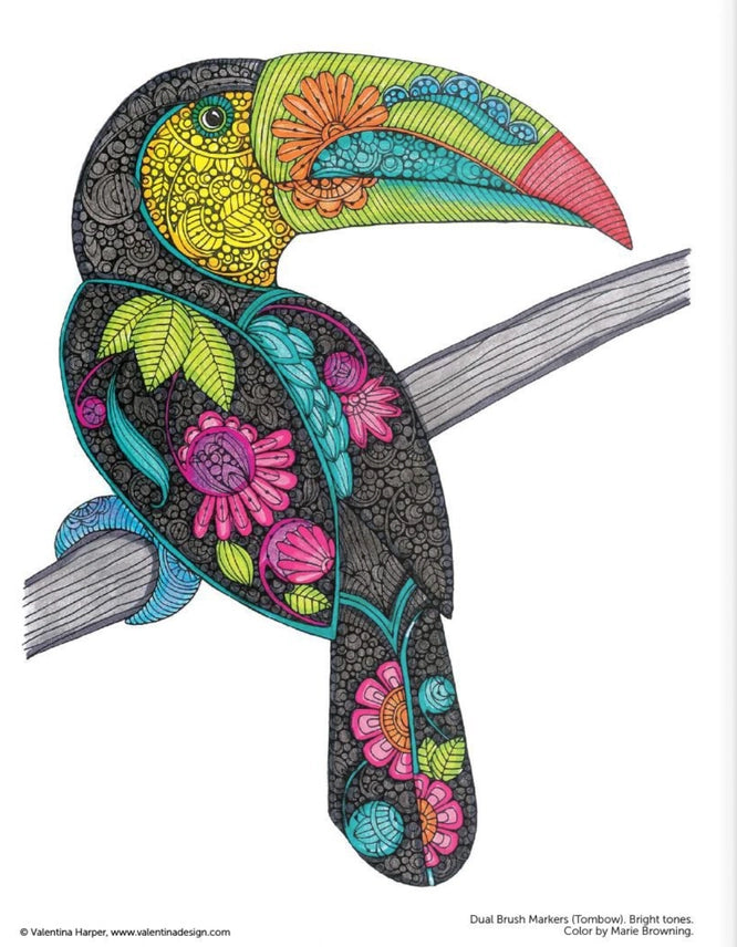 Coloring Book - Creative Coloring Birds