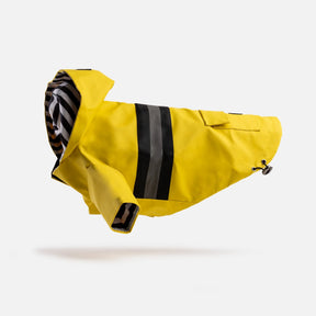 Aden Dog Raincoat Yellow