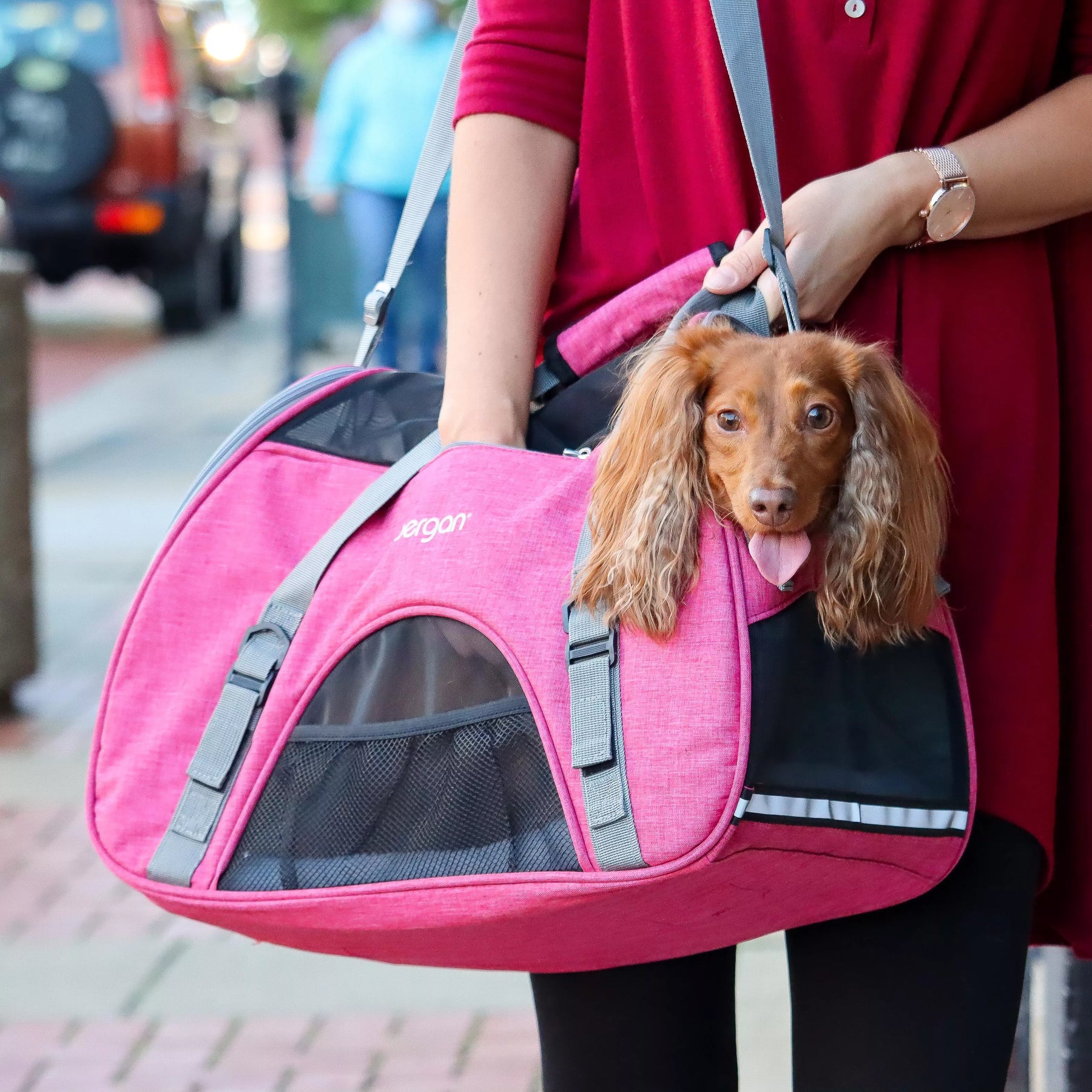 Pet Comfort Carrier